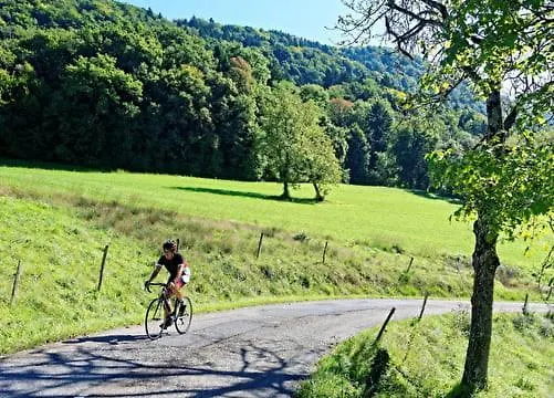 Le Belvedere : Chambres Et Table D'Hotes Montmélian 0*,  Frankrijk